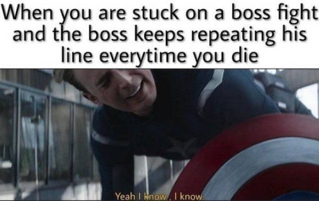 Memes For Gamers (33 pics)