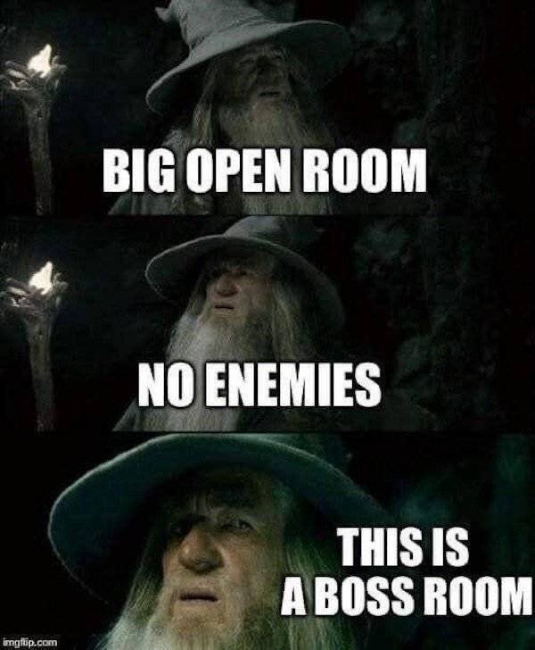 Memes For Gamers (33 pics)