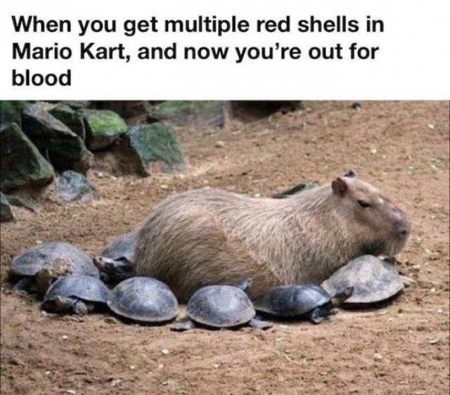 Memes For Gamers (33 pics)