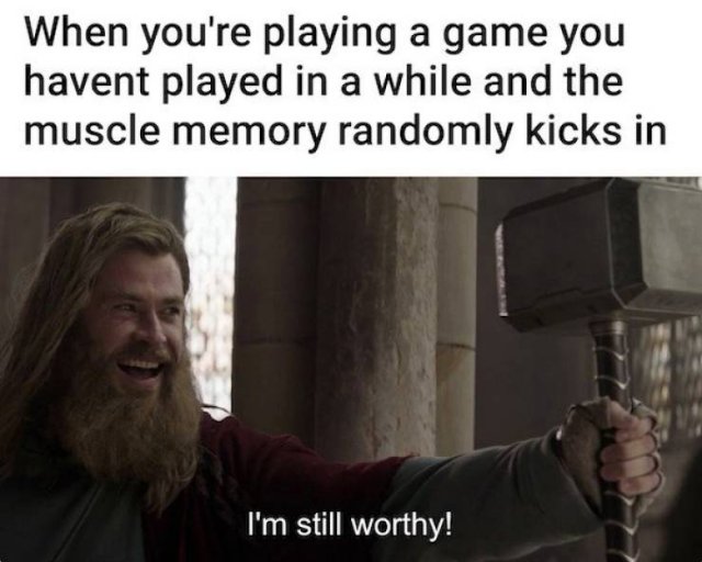 Memes For Gamers (33 pics)