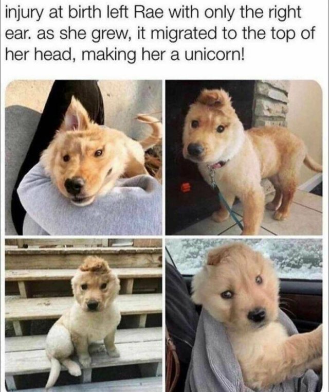 Kind Posts For A Good Mood (45 pics)