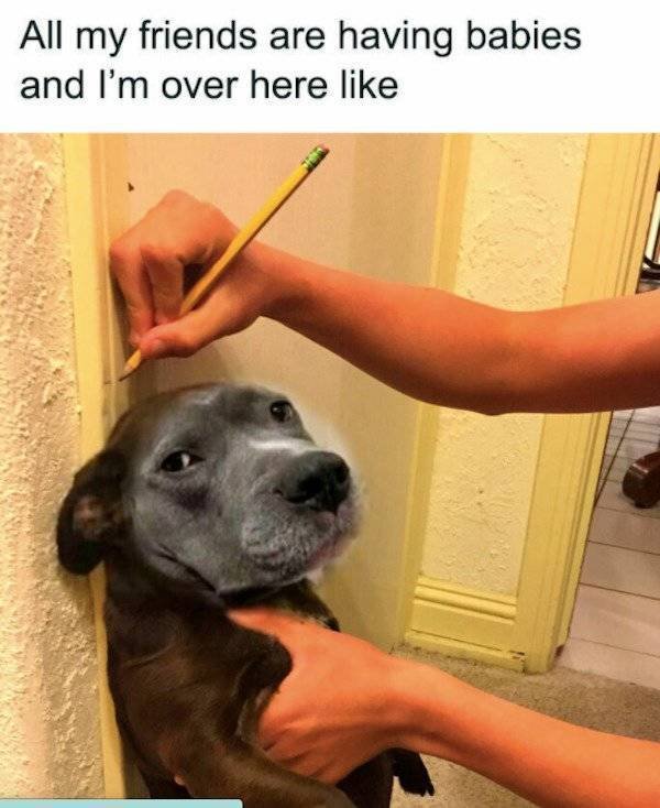 Memes For Singles (30 pics)