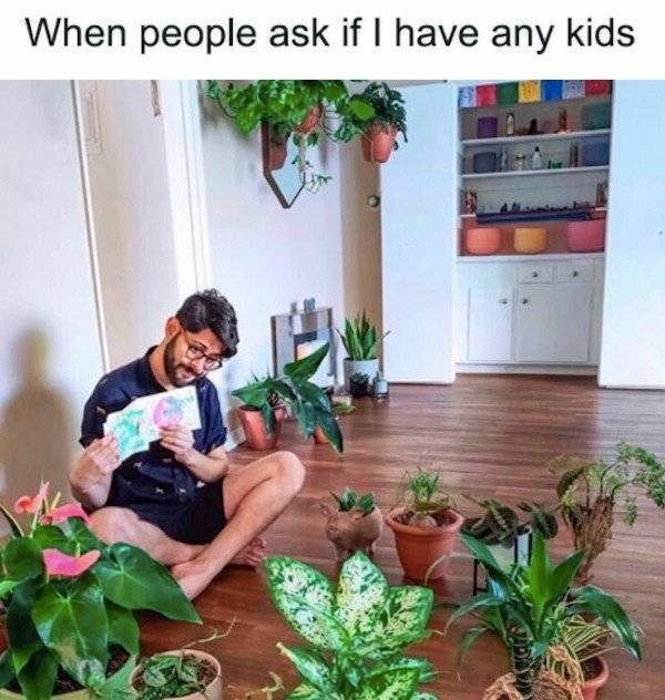 Memes For Singles (30 pics)