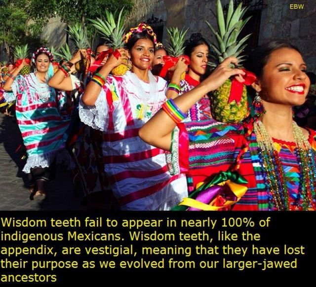 Interesting Facts About Mexico (22 pics)