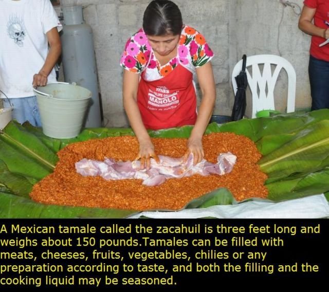 Interesting Facts About Mexico (22 pics)
