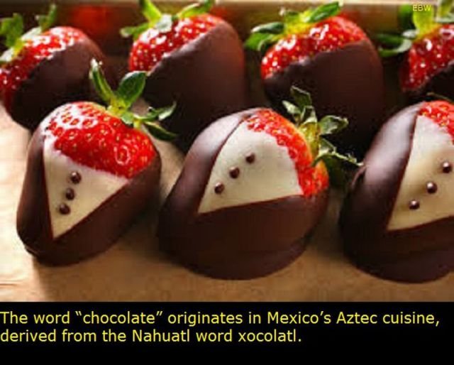 Interesting Facts About Mexico (22 pics)