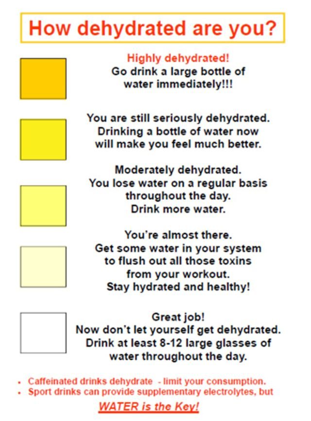 Useful Data (21 pics)
