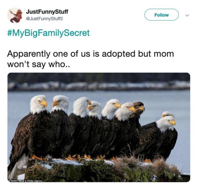 People Share Family Secrets (22 pics)
