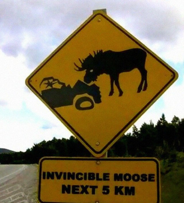 Hilarious Signs (25 pics)