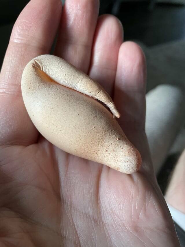 Interesting Finds  (20 pics)