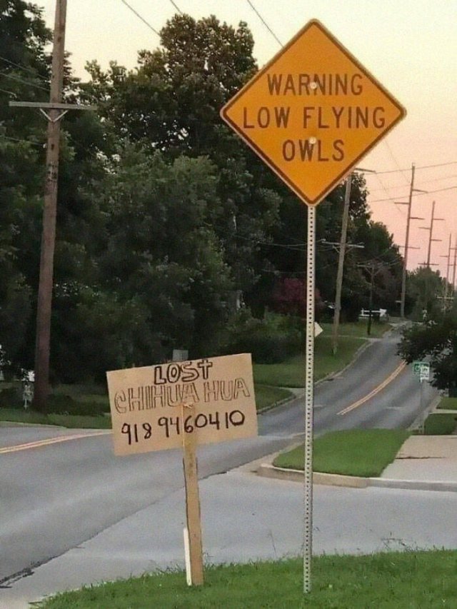 Hilarious Signs (25 pics)