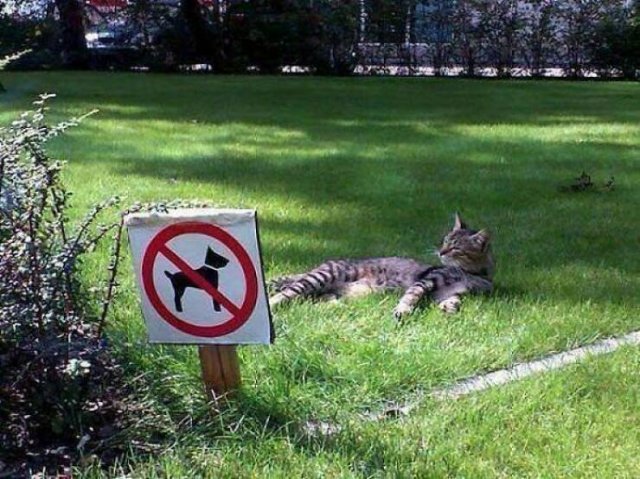 Hilarious Signs (25 pics)