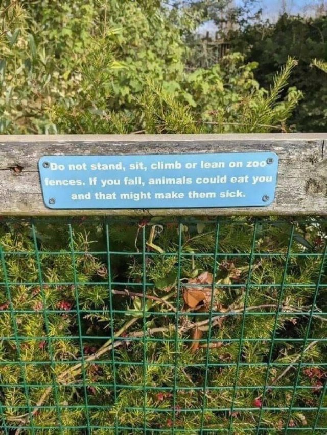 Hilarious Signs (25 pics)