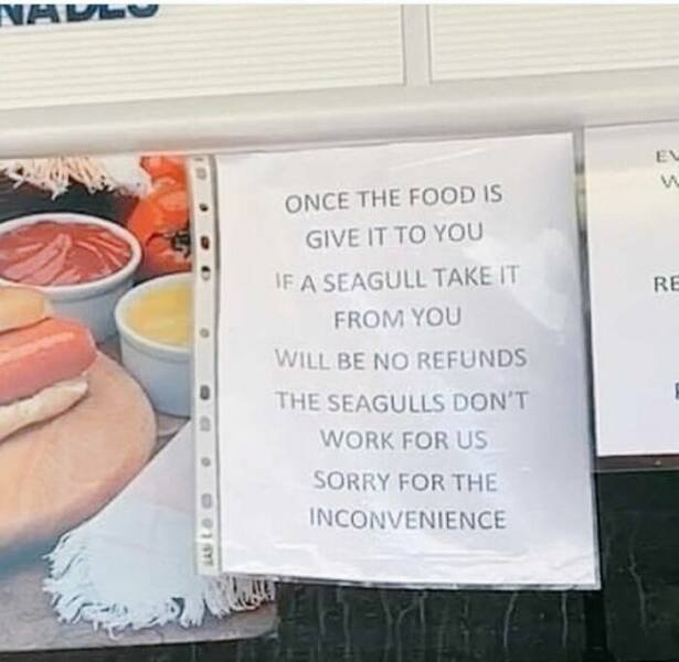 Hilarious Signs (25 pics)
