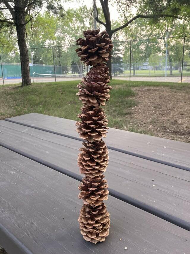 Interesting Finds  (20 pics)