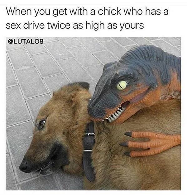 Funny Memes (40 pics)