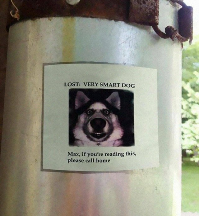 Hilarious Signs (25 pics)