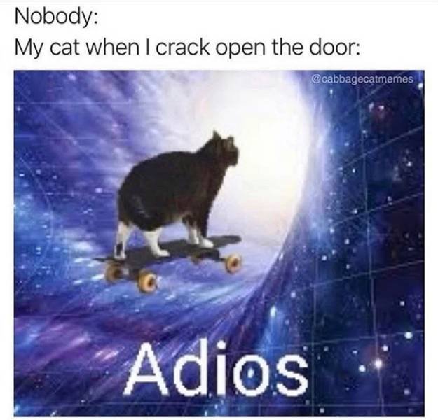 Funny Memes (40 pics)
