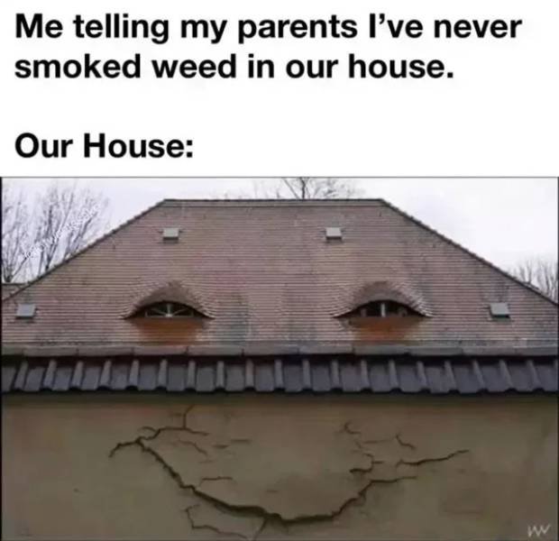 Funny Memes (40 pics)