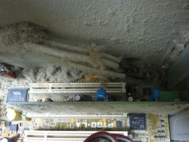 A Repair Technician's Hell (39 pics)