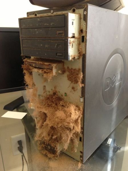 A Repair Technician's Hell (39 pics)
