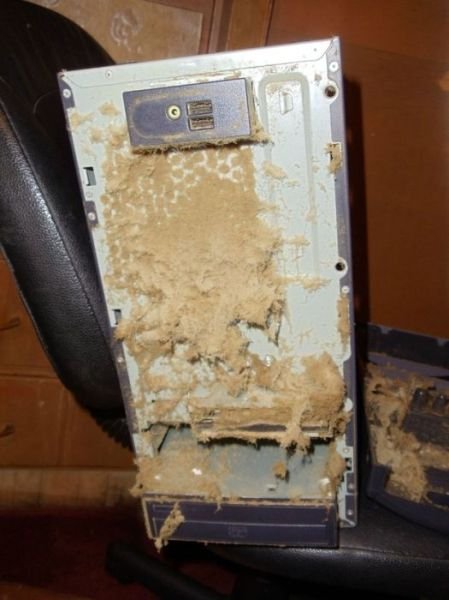 A Repair Technician's Hell (39 pics)