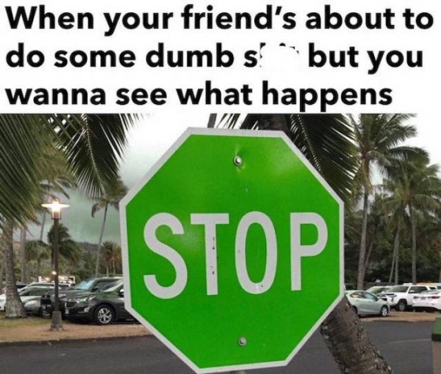 Truthful Memes (25 pics)