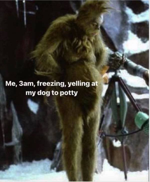 Truthful Memes (25 pics)