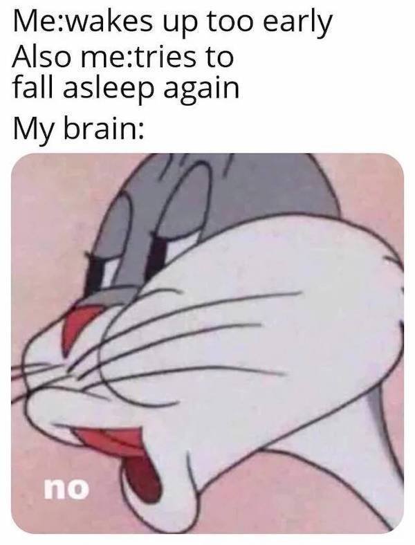 Truthful Memes (25 pics)