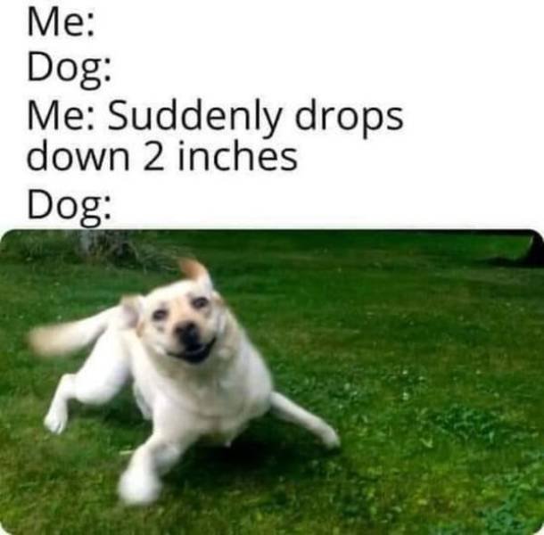 Truthful Memes (25 pics)
