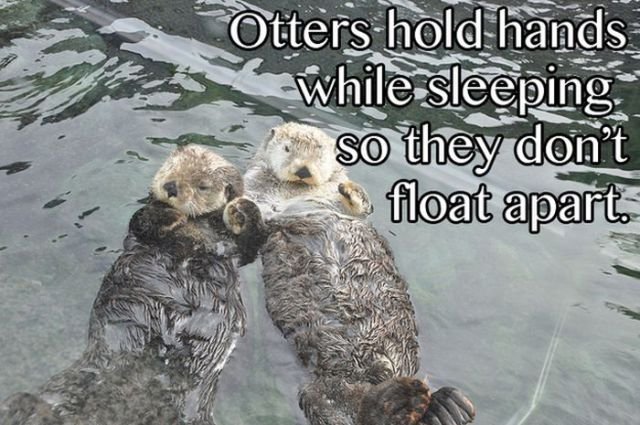Scientific Facts (12 pics) Scientific Facts (12 pics)