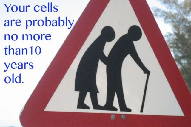 Scientific Facts (12 pics) Scientific Facts (12 pics)