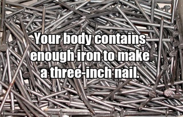 Scientific Facts (12 pics)