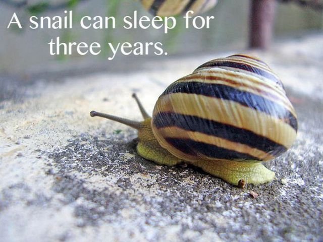 Scientific Facts (12 pics) Scientific Facts (12 pics)