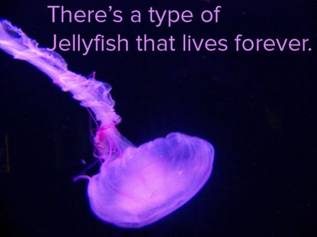 Scientific Facts (12 pics) Scientific Facts (12 pics)