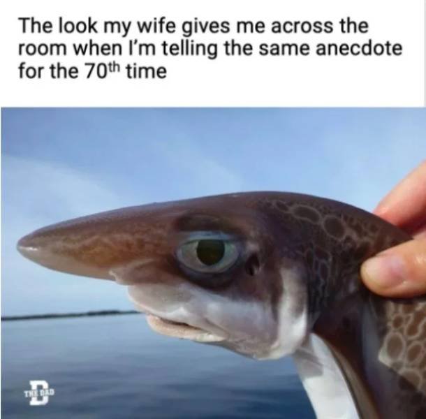 Marriage Memes (26 pics) Marriage Memes (26 pics)