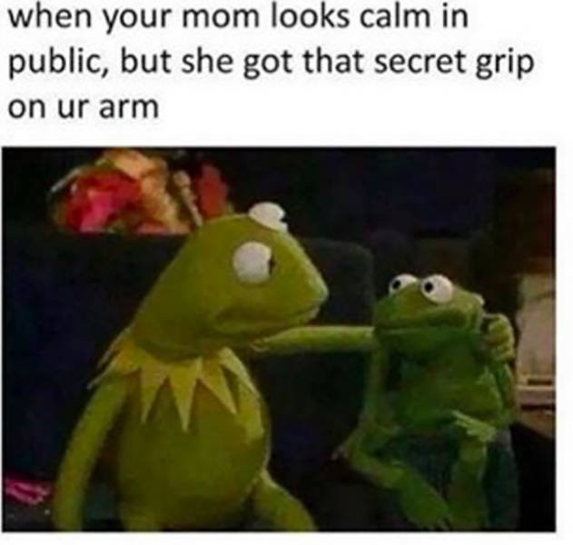 Memes For Parents (69 pics)