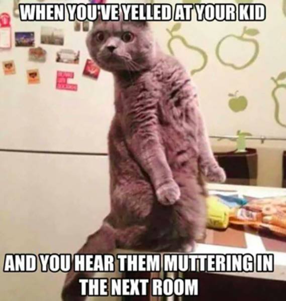 Memes For Parents (69 pics)