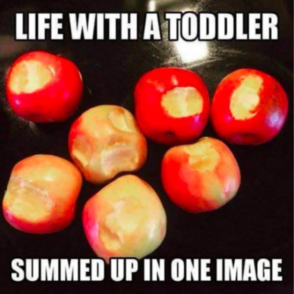 Memes For Parents (69 pics)