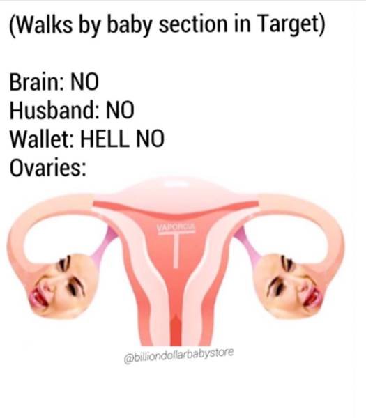 Memes For Parents (69 pics)