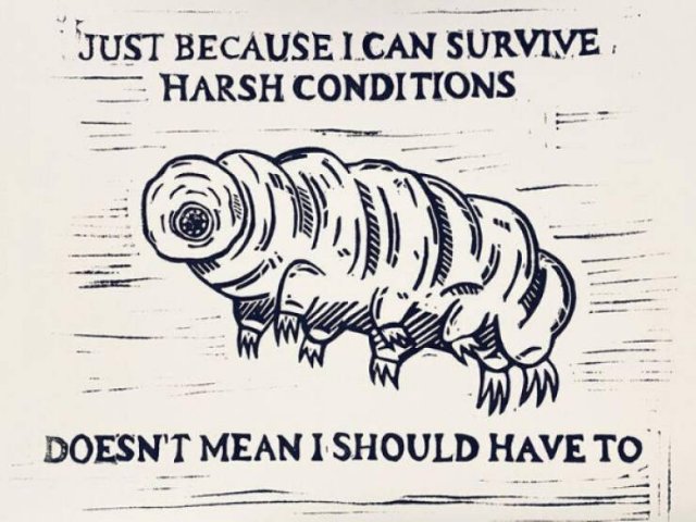 Jokes And Photos For A Good Mood (29 pics) Jokes And Photos For A Good Mood (29 pics)