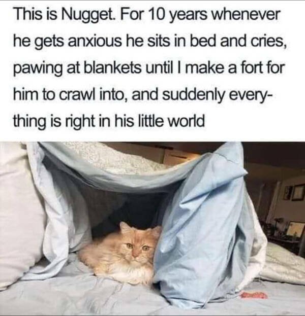 Jokes And Photos For A Good Mood (29 pics) Jokes And Photos For A Good Mood (29 pics)