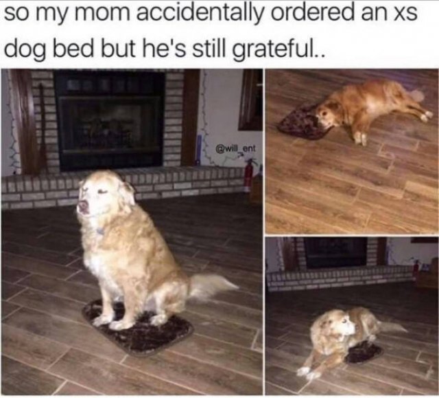 Jokes And Photos For A Good Mood (29 pics) Jokes And Photos For A Good Mood (29 pics)