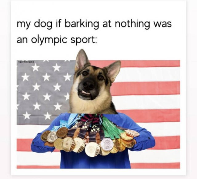 Jokes And Photos For A Good Mood (29 pics) Jokes And Photos For A Good Mood (29 pics)