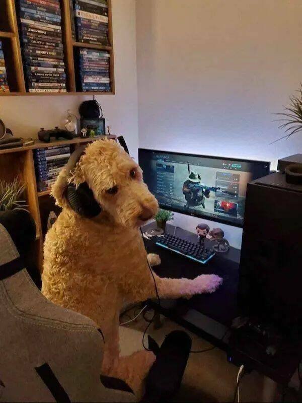 Memes For Gamers (28 pics)