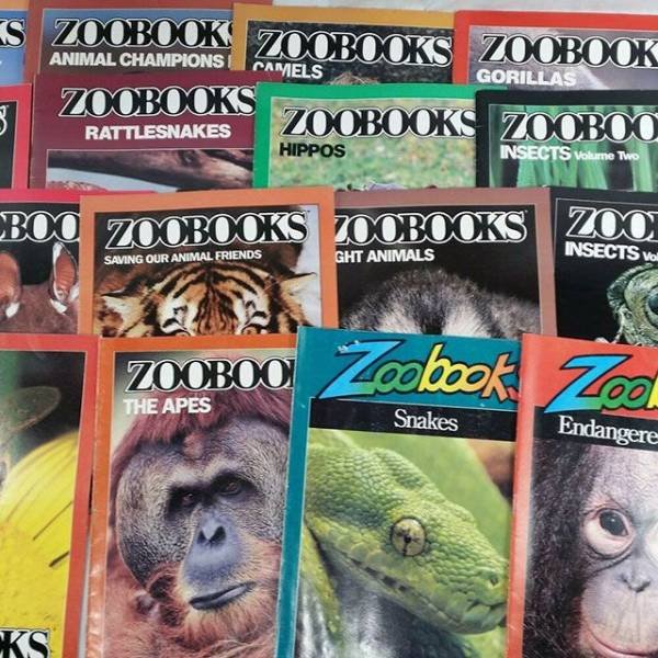 A Little Bit Of Nostalgia (52 pics)