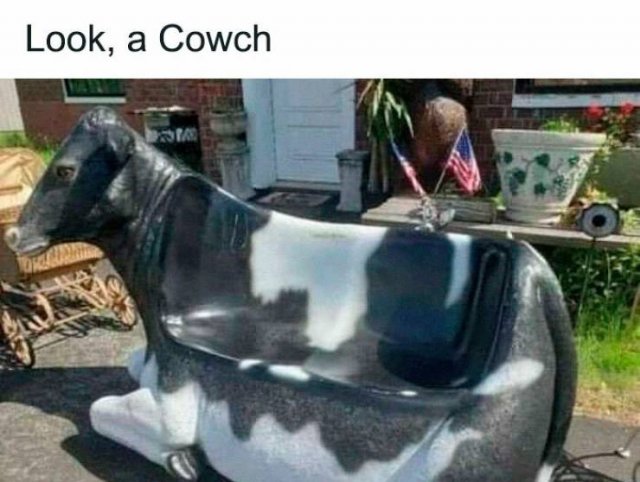 Random Memes (35 pics) Random Memes (35 pics)