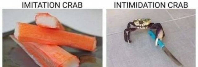 Random Memes (35 pics) Random Memes (35 pics)