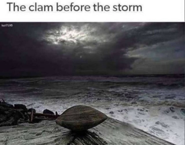 Random Memes (35 pics) Random Memes (35 pics)