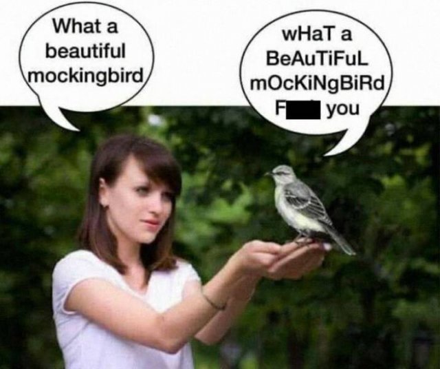 Random Memes (35 pics) Random Memes (35 pics)